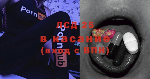 PSILOCYBIN Алзамай