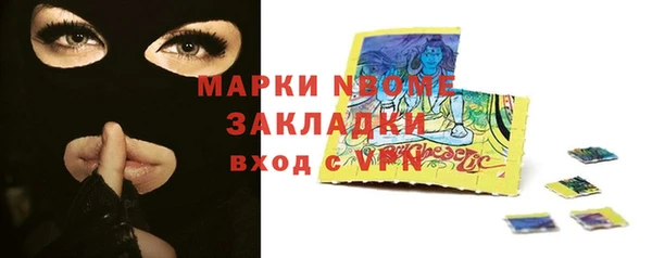 PSILOCYBIN Алзамай